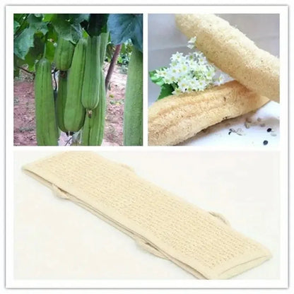 Exfoliating Body Scrubber